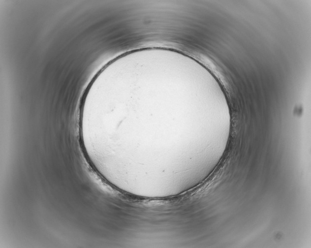 X0000093611140200711121206