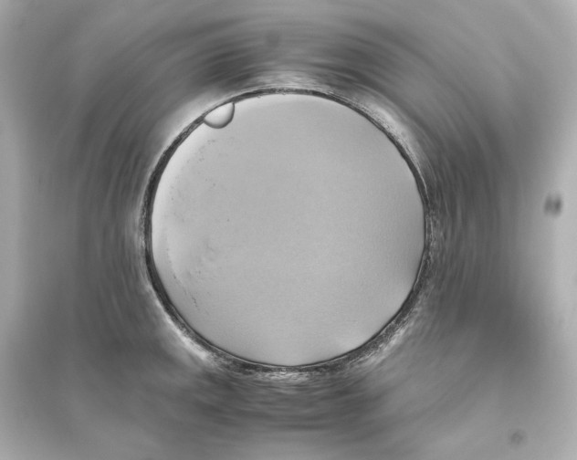 X0000093611141200711121206