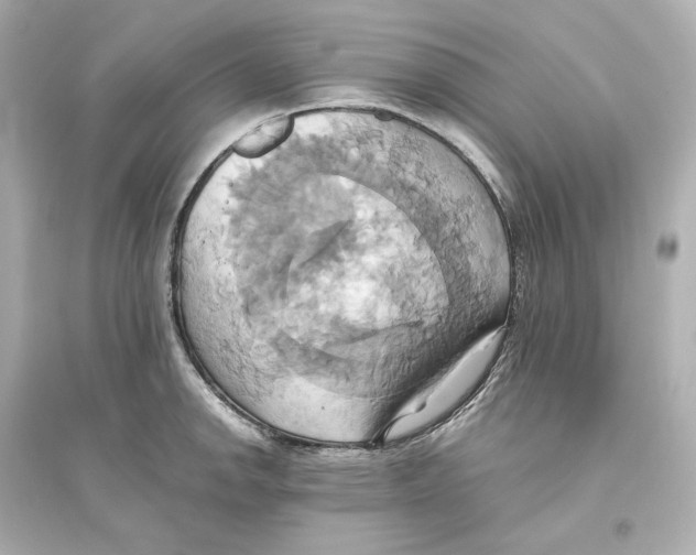 X0000093611142200711121206