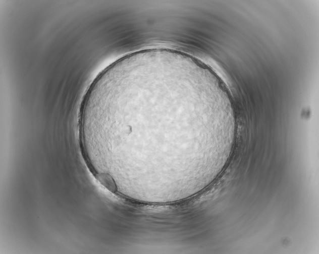 X0000093611143200711121206