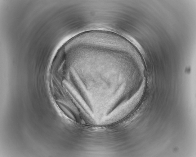 X0000093611144200711121206