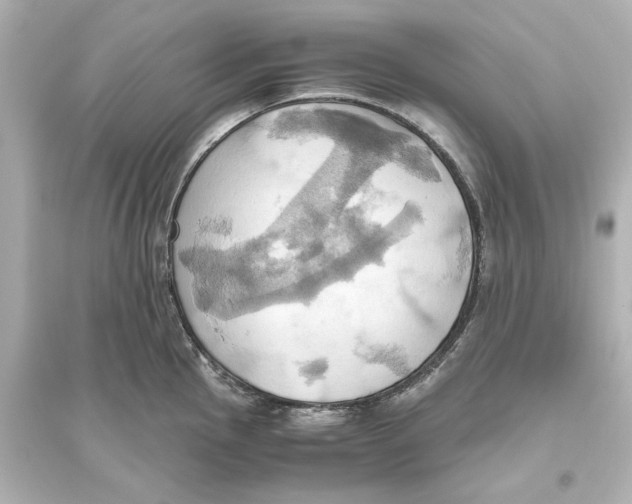 X0000093611145200711121206