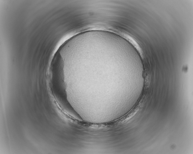 X0000093611146200711121206
