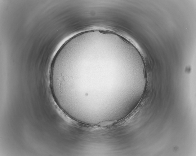 X0000093611148200711121206