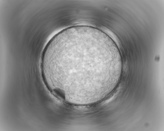 X0000093611149200711121206