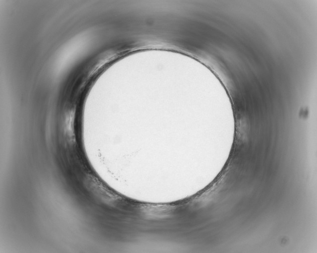 X0000093611150200711121206