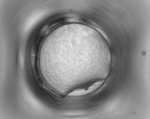 X0000093611151200711121206