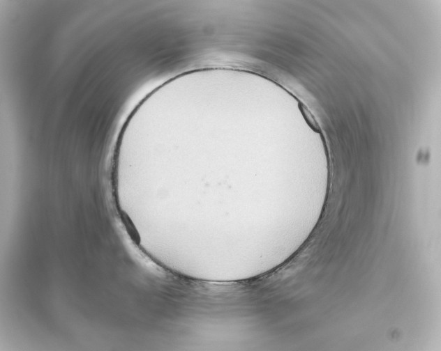 X0000093611152200711121206