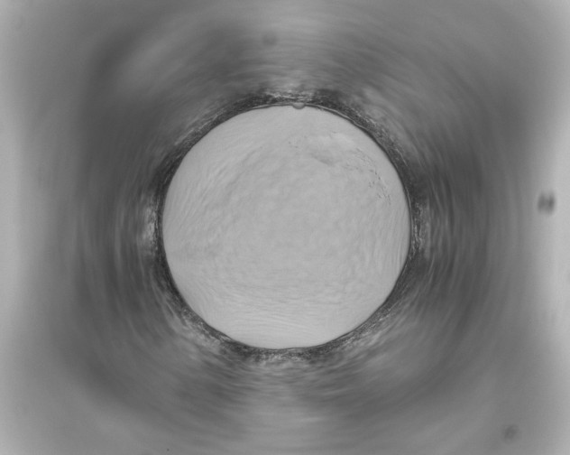 X0000093611154200711121205