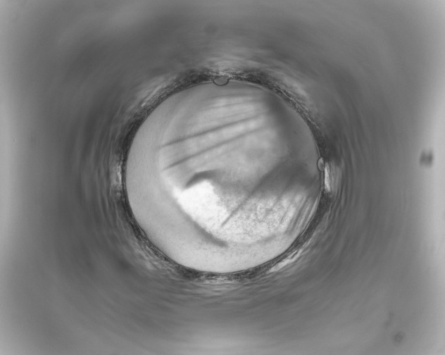 X0000093611155200711121205