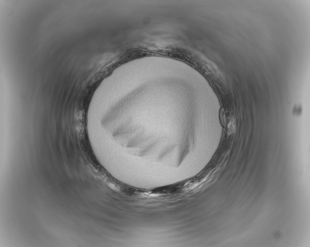 X0000093611156200711121205