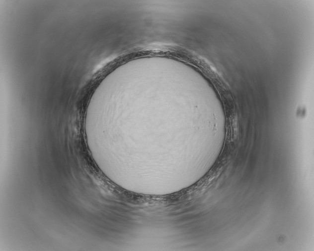 X0000093611158200711121205