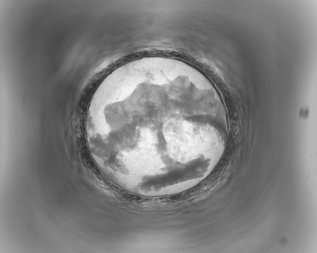 X0000093611159200711121205