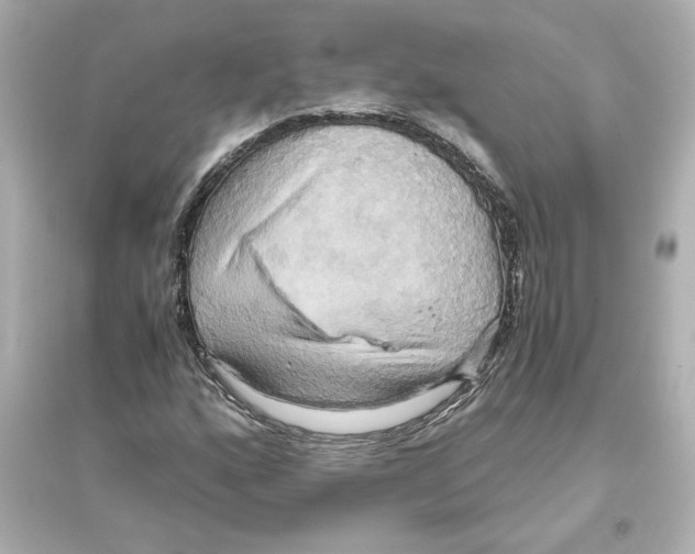 X0000093611160200711121205