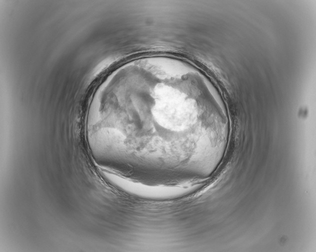 X0000093611163200711121205