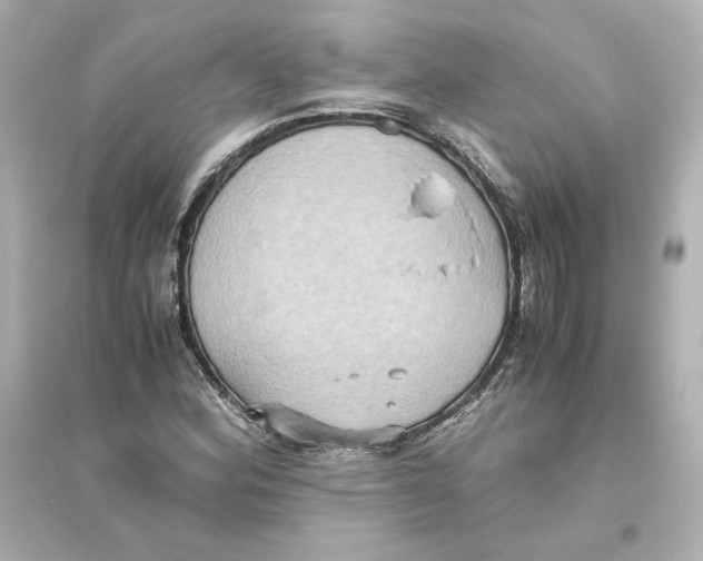 X0000093611164200711121205