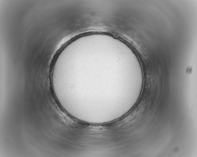 X0000093611168200711121205