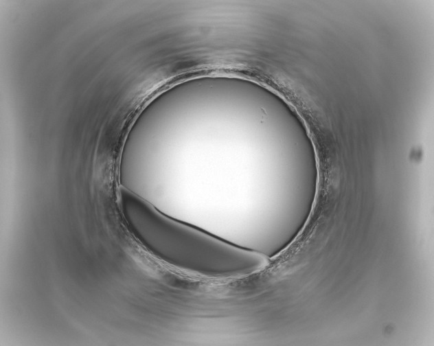 X0000093611169200711121205