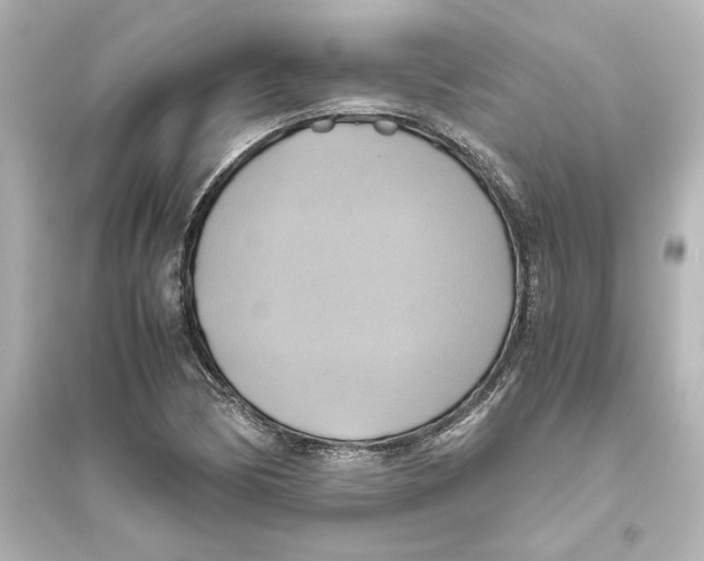 X0000093611170200711121205