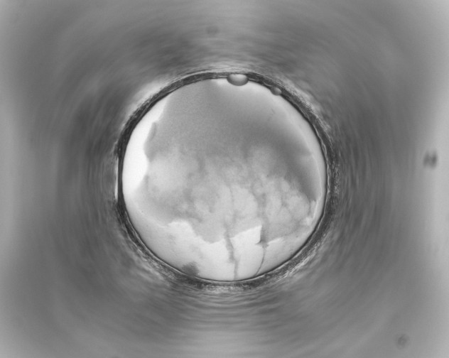 X0000093611171200711121205