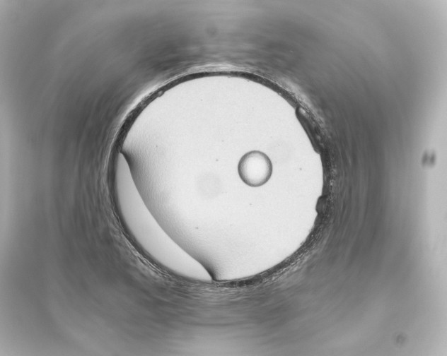 X0000093611173200711121205
