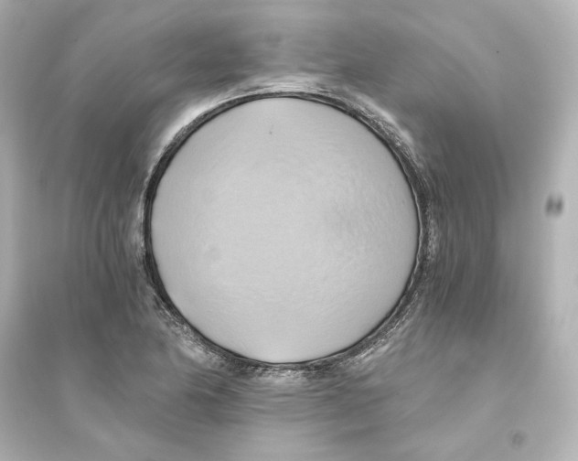 X0000093611174200711121205