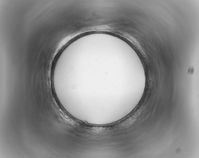 X0000093611176200711121205