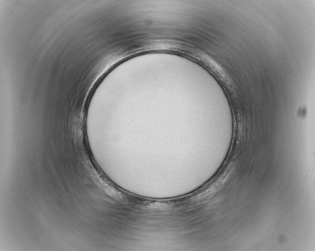 X0000093611178200711121205