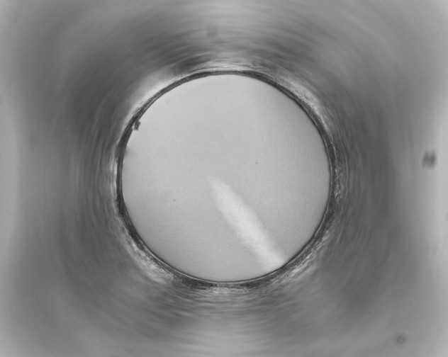 X0000093611179200711121205
