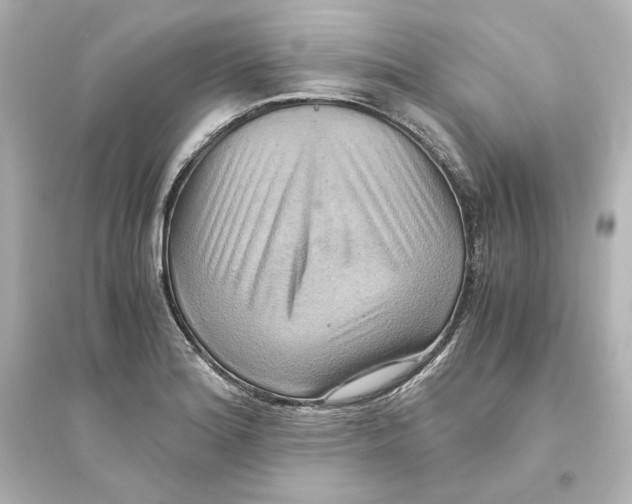 X0000093611180200711121205