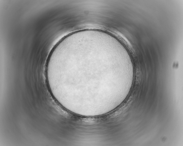 X0000093611182200711121205