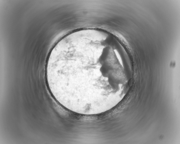 X0000093611183200711121205