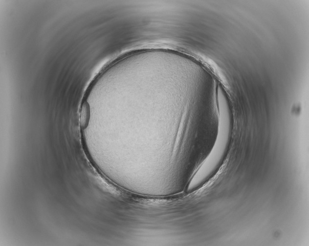 X0000093611184200711121205