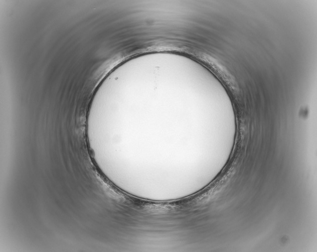 X0000093611185200711121205