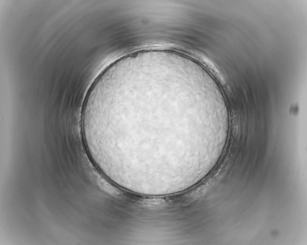 X0000093611186200711121205
