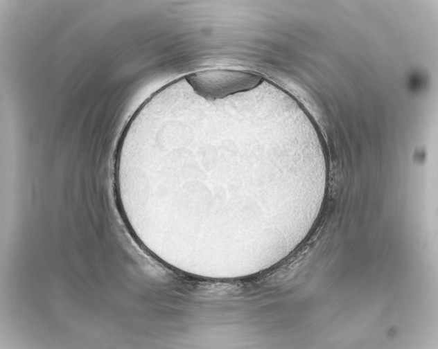 X0000093611187200711121205