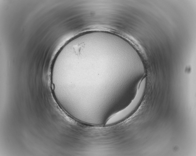 X0000093611188200711121205