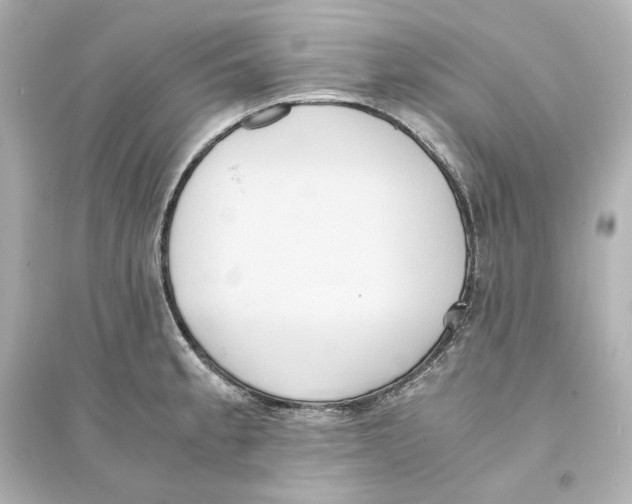 X0000093611189200711121205