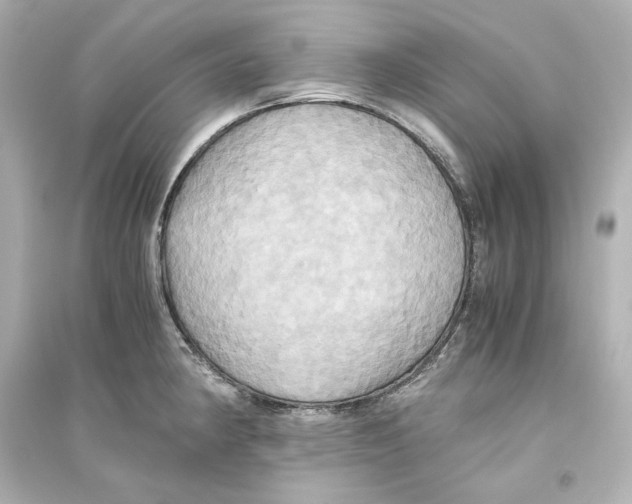 X0000093611190200711121205