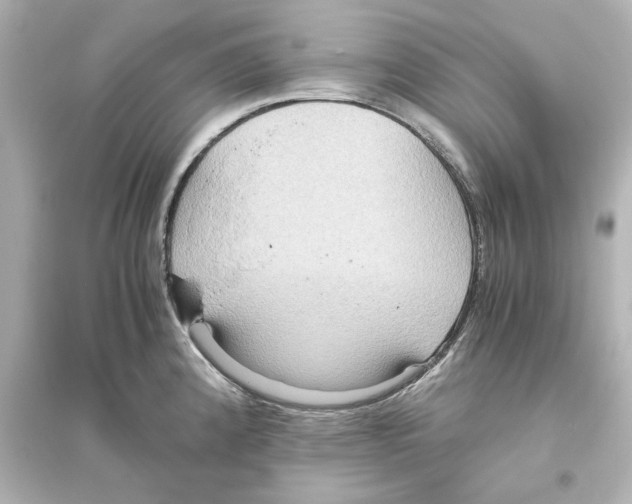 X0000093611192200711121205