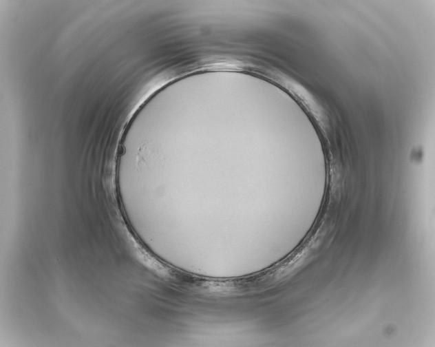 X0000093611194200711121205