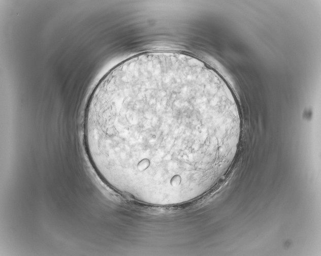 X0000093611195200711121205