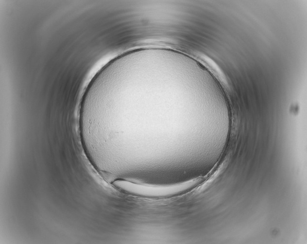 X0000093611196200711121205
