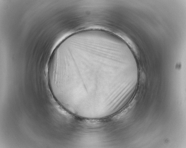 X0000093611198200711121205