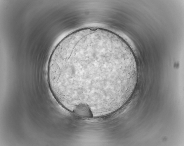 X0000093611199200711121205