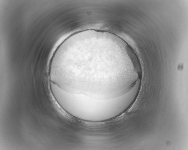 X0000093611200200711121205