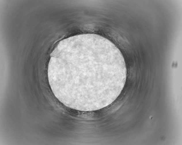 X0000093611201200711121204