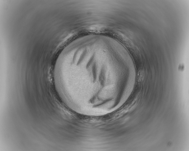 X0000093611202200711121204