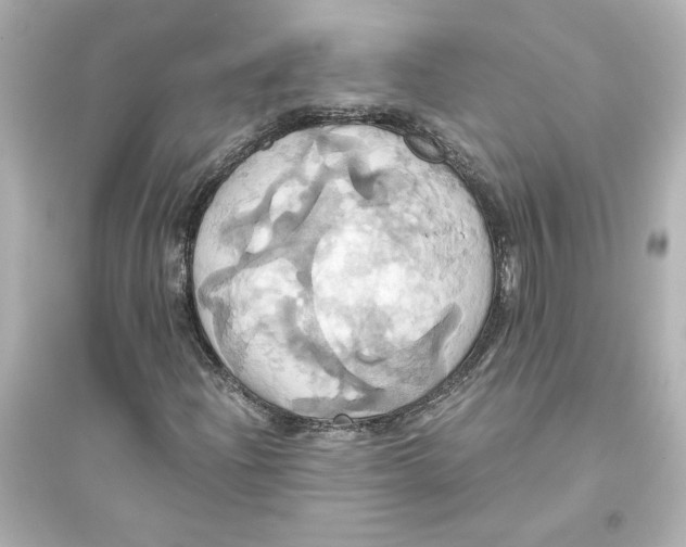 X0000093611204200711121204