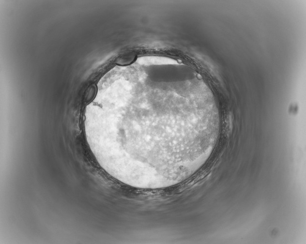 X0000093611205200711121204